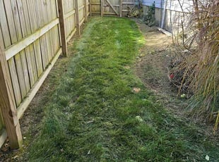 Leaf Removal by Leroy Green II for Dominic V. in Columbus, OH