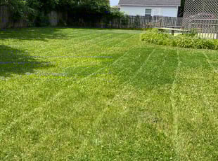 Kevin K.'s Yard Cutting service result