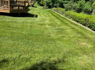 Alan K.'s Lawn Care service result