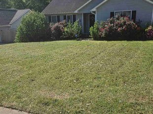Shaun G.'s Lawn Service service result