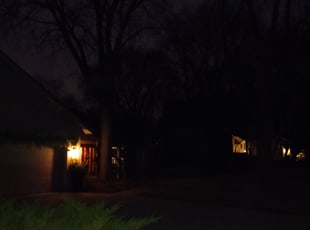 Leaf Removal by Shawn Spiess for Jon A. in Minneapolis, MN