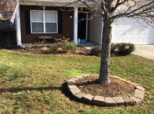 Leaf Removal by Brandon Brewer for Donald G. in Charlotte, NC