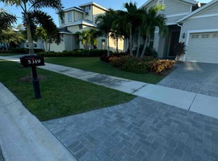 Marveina E.'s Lawn Care service result