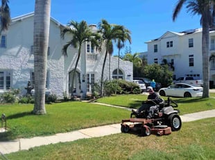 Lily T.'s Lawn Maintenance service result