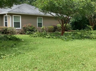 Laura M.'s Grass Cutting service result