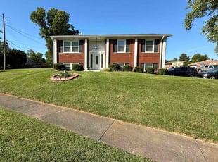 Jason P.'s Yard Cutting service result