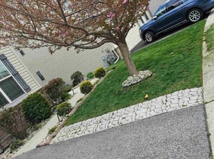 Charles E.'s Lawn Mowing Service service result