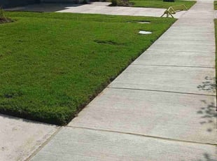 Alexis B.'s Lawn Mowing service result