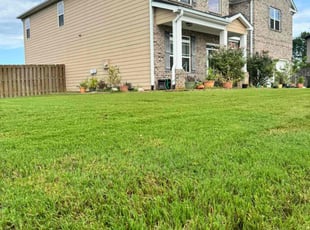 Cecil B.'s Lawn Care service result