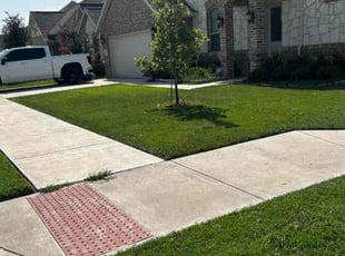 Terence C.'s Lawn Mowing service result