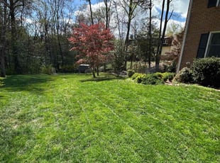 Quentin H.'s Lawn Mowing service result