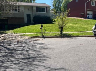 Estella A.'s Lawn Maintenance service result