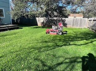 La'Portia J.'s Lawn Mowing Service service result
