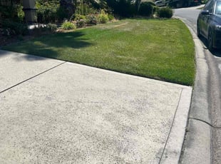Collin E.'s Lawn Service service result