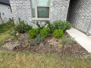 Weeding by Wayland Gray for April T. in Heath, TX
