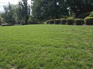 Kellie A.'s Lawn Maintenance service result