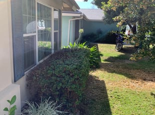 Bush Trimming by Jonathan Allen for Lawn S. in Sacramento, CA