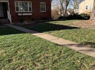 Leaf Removal by Tina Tactikos for Sara N. in Rock Island, IL