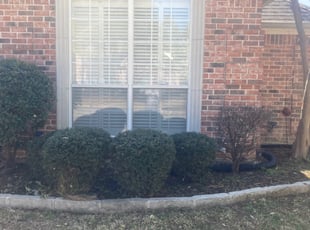 Bush Trimming by Brett Knapp for Amanda M. in Bedford, TX