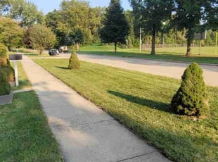 Aijaz D.'s Grass Cutting service result