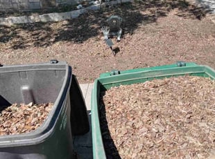 Cleanups by Jason Westgor for Kelsey G. in San Antonio, TX