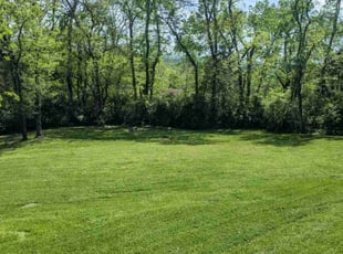 Travis S.'s Grass Cutting service result