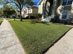 Donnell G.'s Lawn Care service result