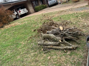 Cleanups by Daniel Rios for Tracy F. in Austin, TX