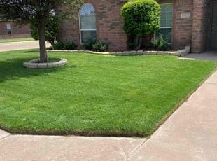 Cynthia P.'s Lawn Maintenance service result