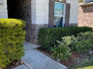 Bush Trimming by Tomas Verastegui for Liliana G. in Conroe, TX