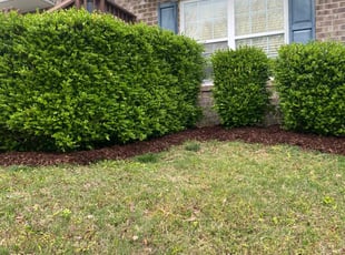 Landscaping by Dimitruis Casey for DAVEL M. in Roanoke, VA