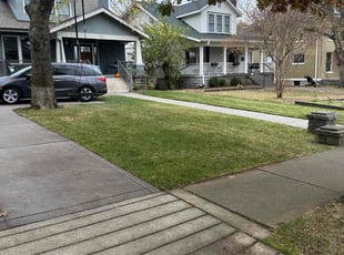 Leaf Removal by Landon Millett for Colleen R. in Nashville, TN
