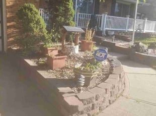 Bush Trimming by James McKay for Fred h. in Lakewood, CO