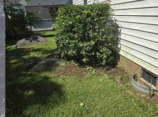 Bush Trimming by Miguel Morales for Samantha H. in Clayton, NC
