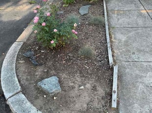 Weeding by Edgar Elmore for Chris C. in Washington, DC