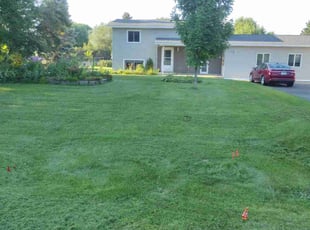 Mike A.'s Grass Cutting service result