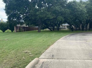 Aida R.'s Lawn Maintenance service result