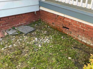 Weeding by Prince Copeland for Travis W. in Hampton, VA