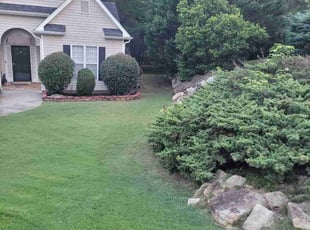 Mechel M.'s Lawn Mowing service result