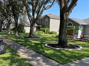 Paul P.'s Lawn Service service result