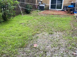 Bush Trimming by David Trejo for Latosha C. in Laurel, MD