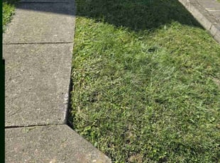 Paul B.'s Lawn Care service result