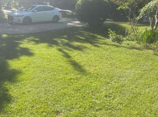 James N.'s Lawn Care service result