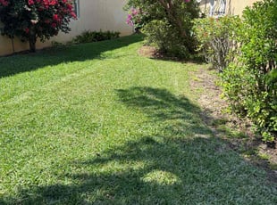 Annesia B.'s Lawn Mowing service result