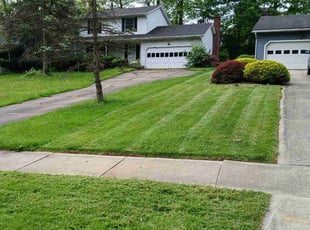 Wanda P.'s Lawn Maintenance service result