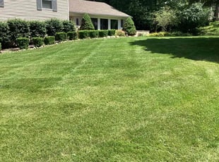 Nancy J.'s Lawn Mowing service result