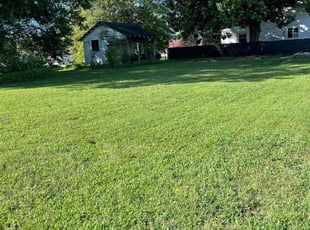 Sheri M.'s Lawn Mowing service result