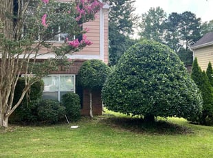 Alonda M.'s Bush Trimming service result