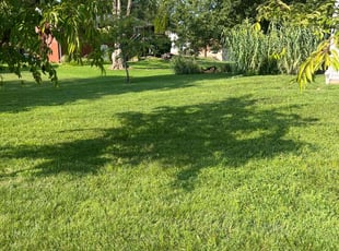 Marian C.'s Lawn Mowing service result