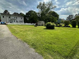 Herman M.'s Yard Cutting service result